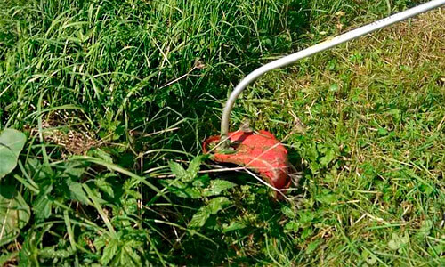 Покос травы в воровского